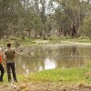 Yanga National Park, The Murray