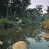 Fishing at Wattleridge, near Guyra