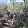 Hiking through the cyclone damage