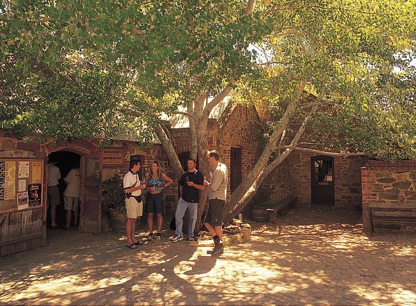 Wine Tasting
