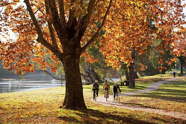 Cyclists ride through Noreuil Park, Albury